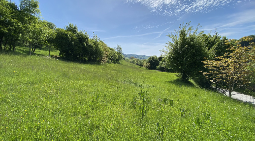 Slnečný pozemok s výhľadom na hrad, Lednica - Púchov, 4033 m²