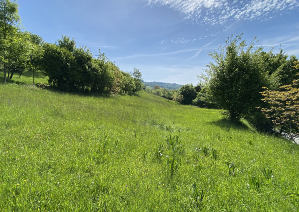 Slnečný pozemok s výhľadom na hrad, Lednica - Púchov, 4033 m²