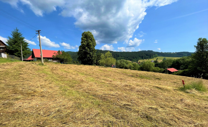 Predaj: Pozemok - Korňa (pod Živčákovou) - fotografia 2