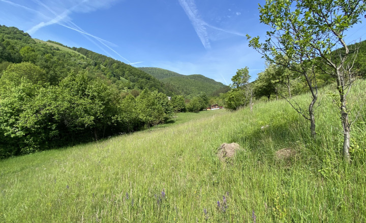 Slnečný pozemok s výhľadom na hrad, Lednica - Púchov, 4033 m² - fotografia 6