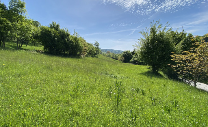 Slnečný pozemok s výhľadom na hrad, Lednica - Púchov, 4033 m²