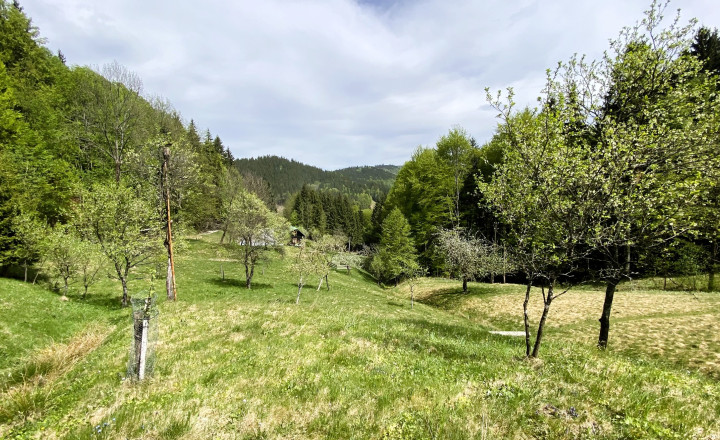 Rekreačná chalupa v horskom prostredí – Veľké Rovné pri Bytči - fotografia 21