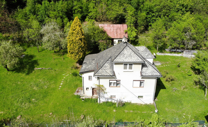 Predaj: Rodinný dom s pozemkom 3.429 m2 - Veľké Rovné - fotografia 18