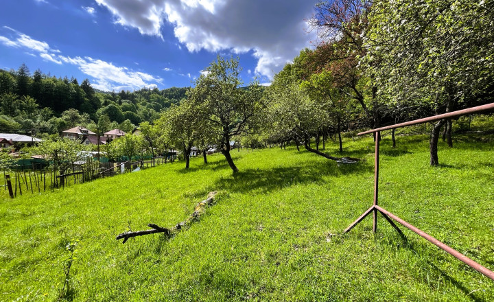 Predaj: Rodinný dom s pozemkom 3.429 m2 - Veľké Rovné - fotografia 20