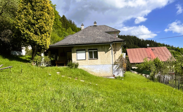 Predaj: Rodinný dom s pozemkom 3.429 m2 - Veľké Rovné - fotografia 22