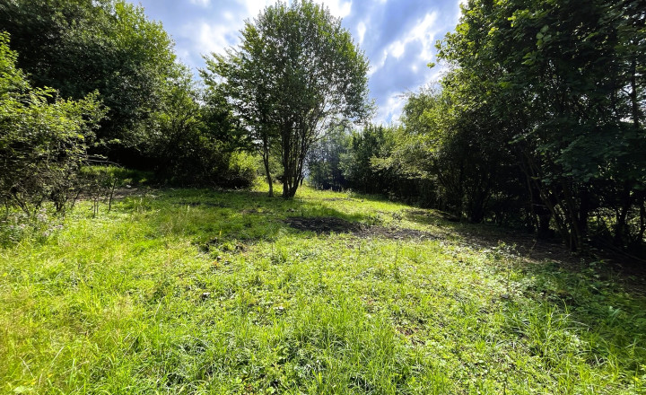 Predaj: Chata Lodno (pozemok 1645m2) - fotografia 9